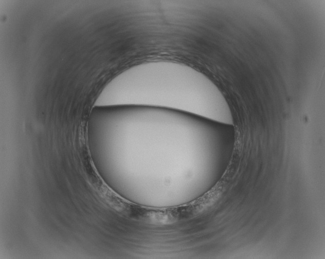 X0000085250272200703090955