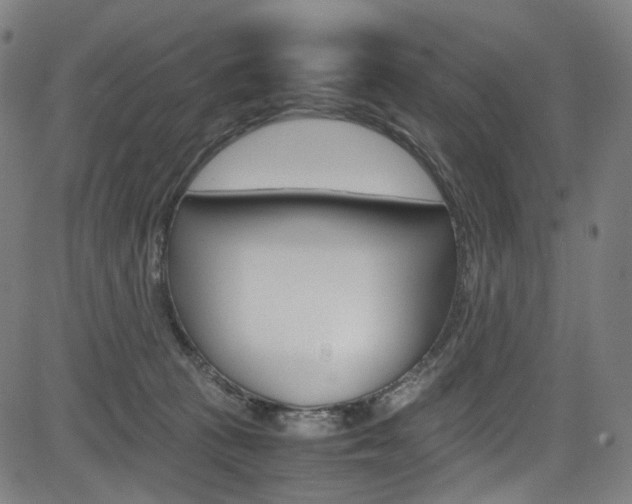 X0000085250273200703090955