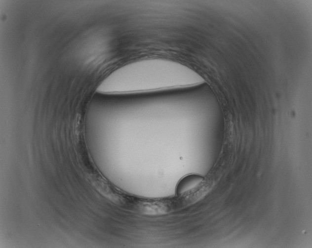 X0000085250275200703090955