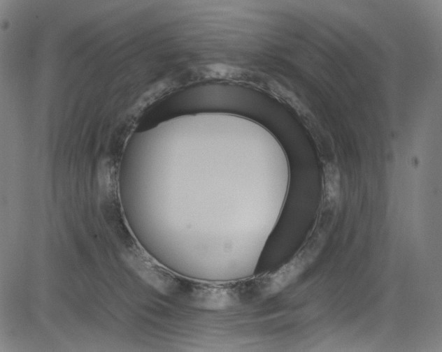 X0000085250276200703090955