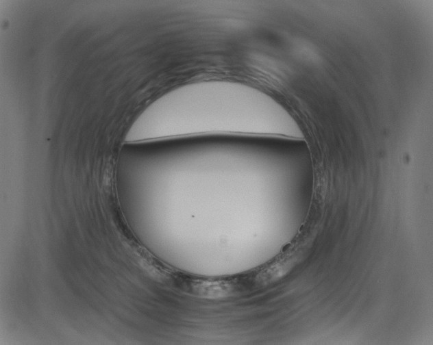 X0000085250277200703090955