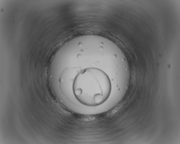 X0000085250278200703090955