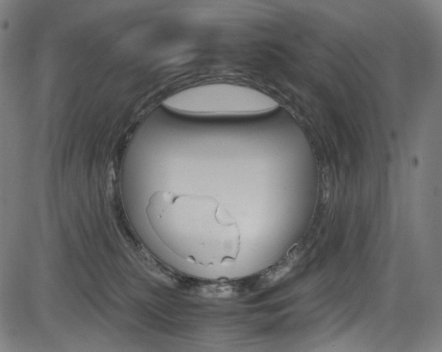 X0000085250279200703090955