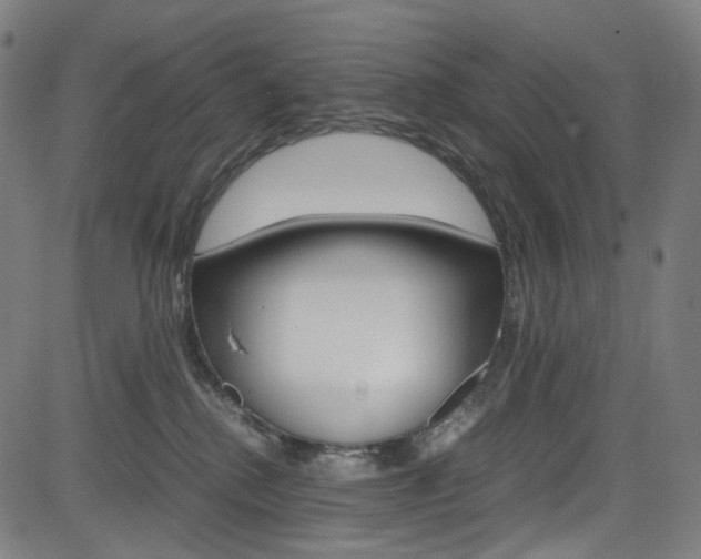 X0000085250280200703090955