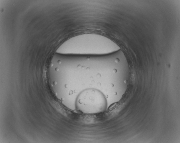 X0000085250282200703090955