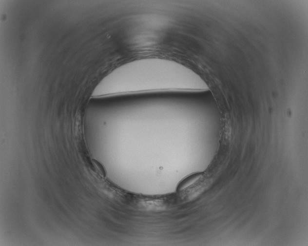 X0000085250283200703090955