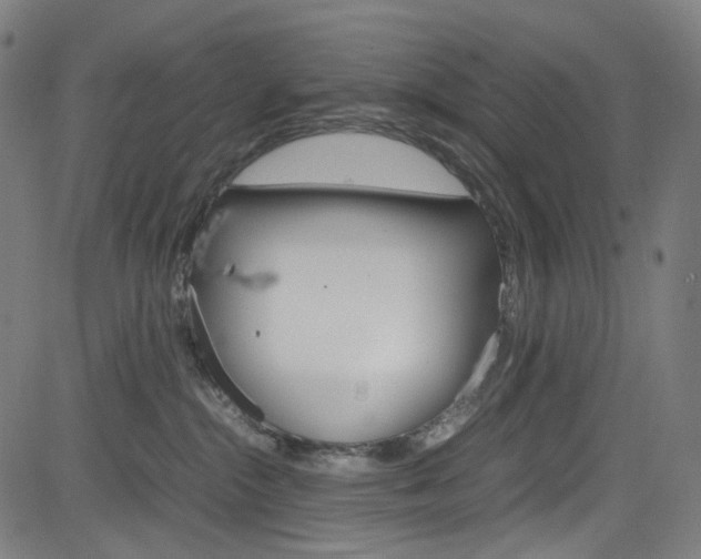 X0000085250284200703090955