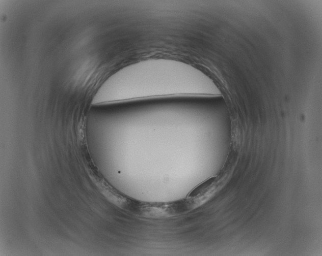 X0000085250285200703090955