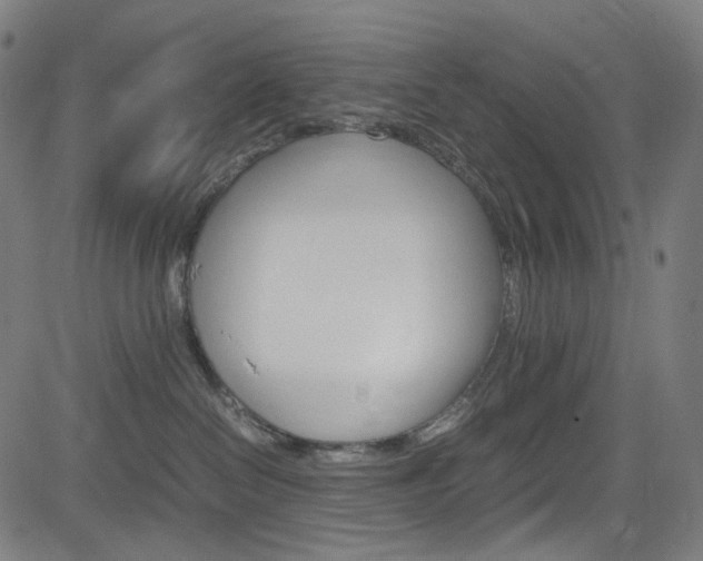 X0000085250286200703090955