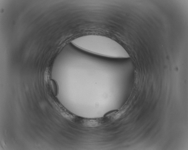 X0000085250287200703090955