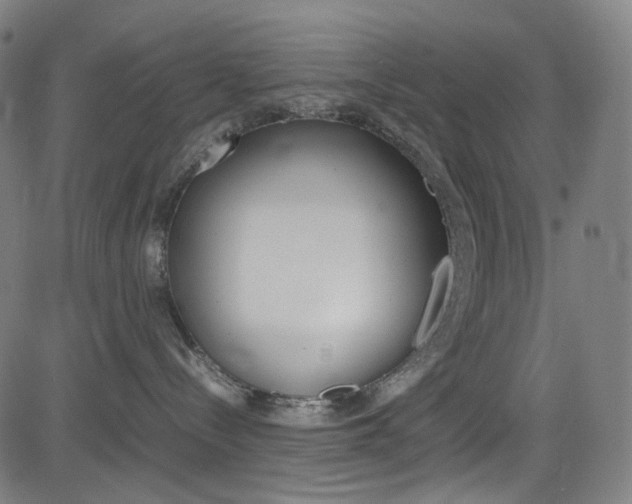 X0000085250288200703090955