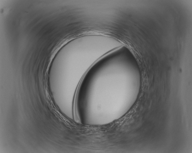 X0000085250289200703090955