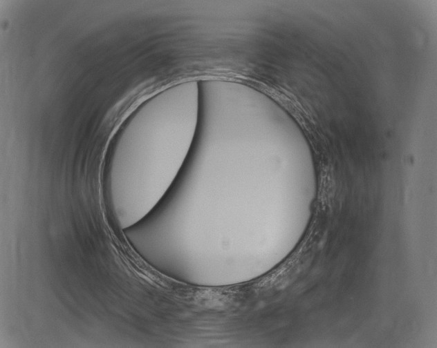 X0000085250290200703090954