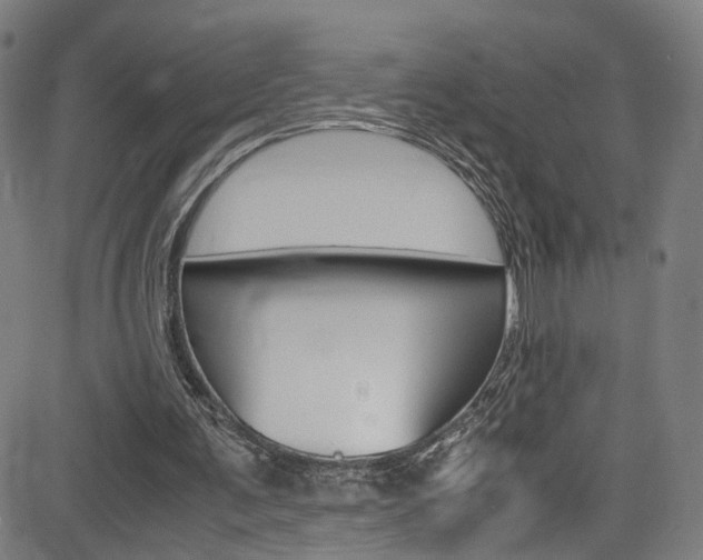 X0000085250291200703090954