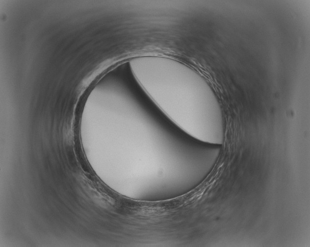 X0000085250292200703090954