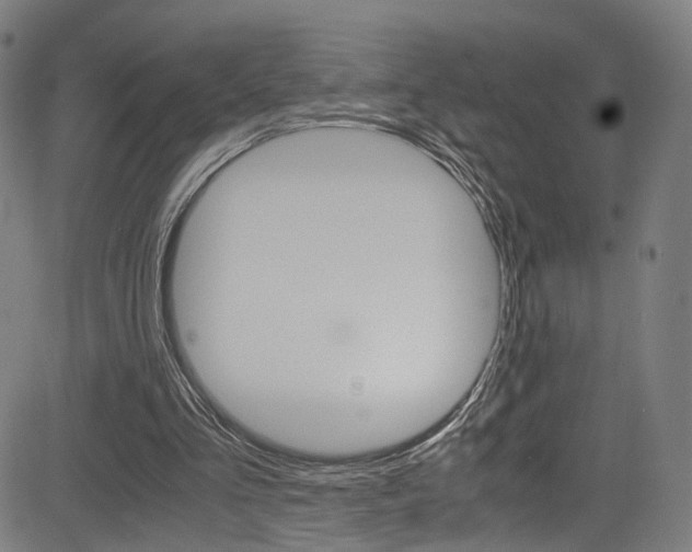 X0000085250293200703090954