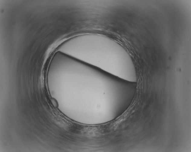 X0000085250294200703090954