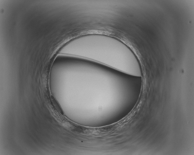 X0000085250297200703090954