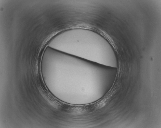 X0000085250298200703090954