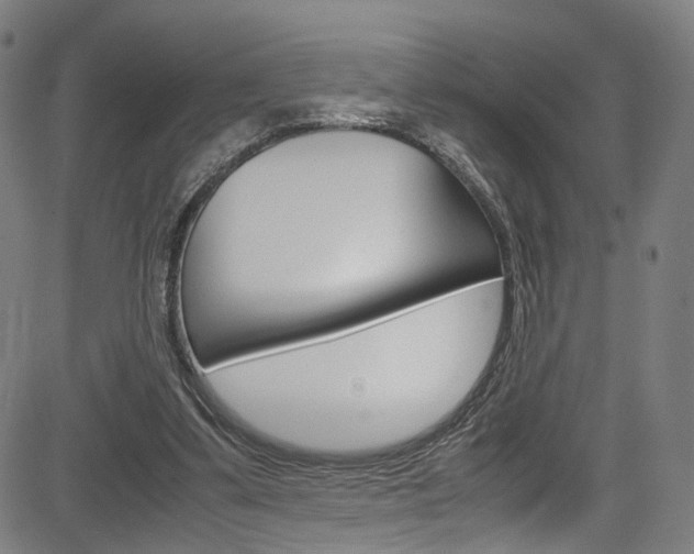 X0000085250299200703090954