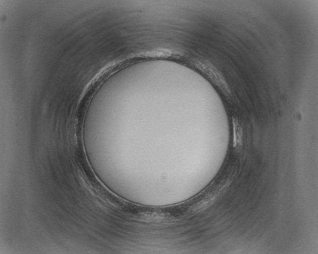 X0000085250300200703090954