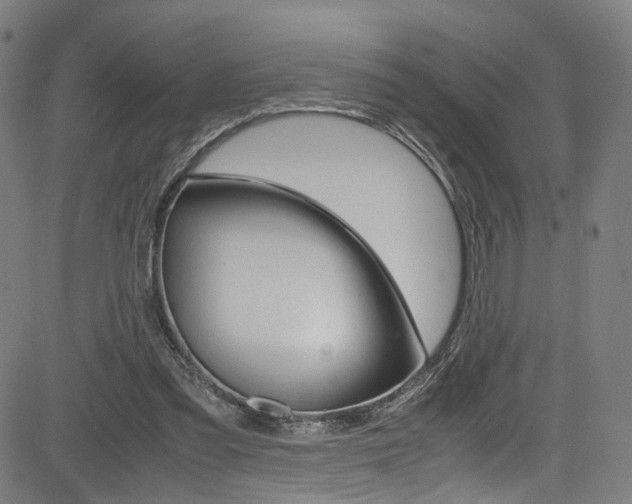 X0000085250301200703090954