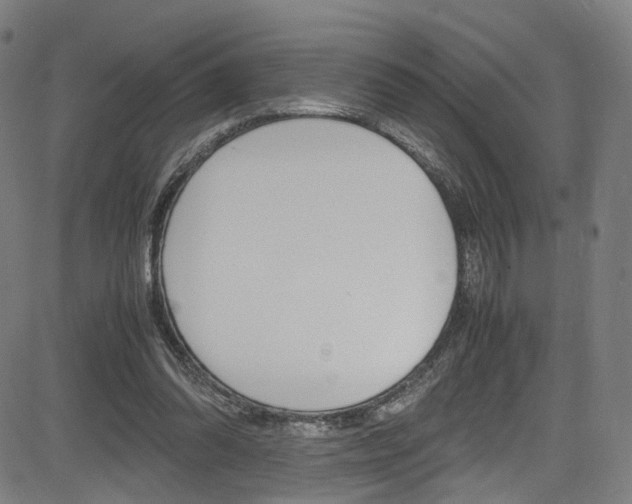 X0000085250302200703090954