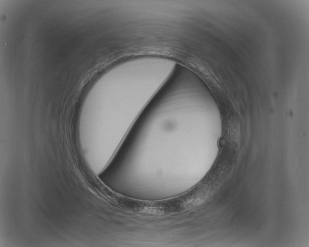 X0000085250303200703090954