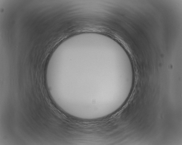 X0000085250305200703090954