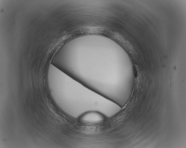 X0000085250306200703090954