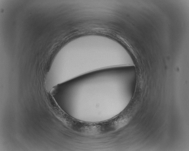 X0000085250307200703090954