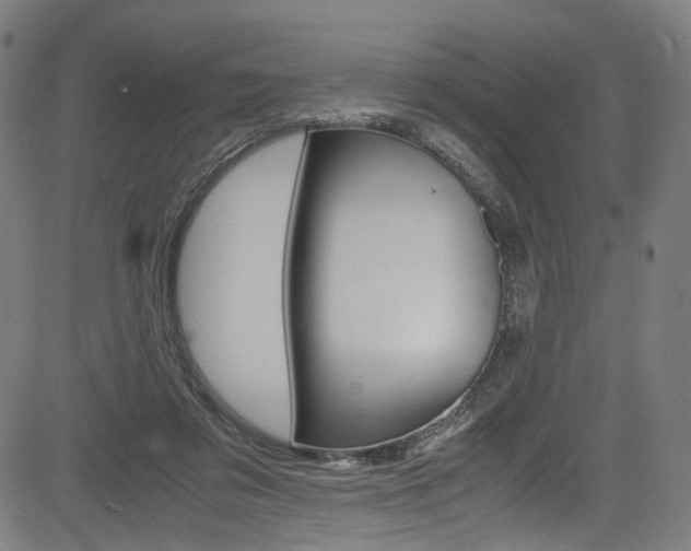 X0000085250309200703090954