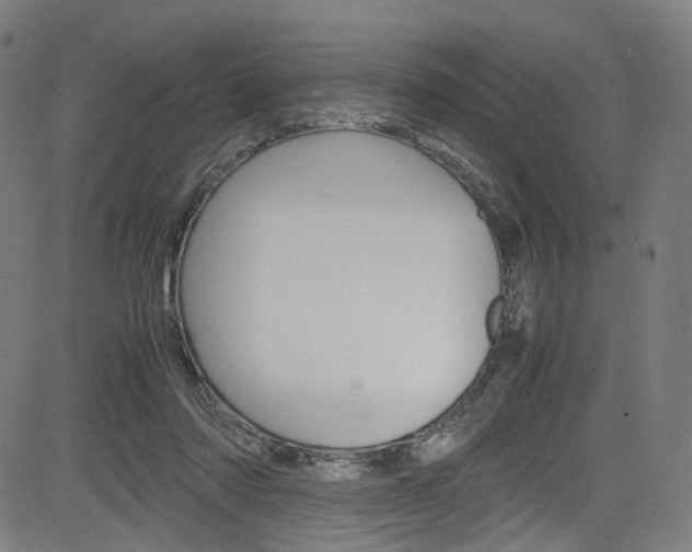 X0000085250310200703090954