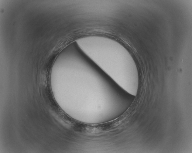 X0000085250311200703090954