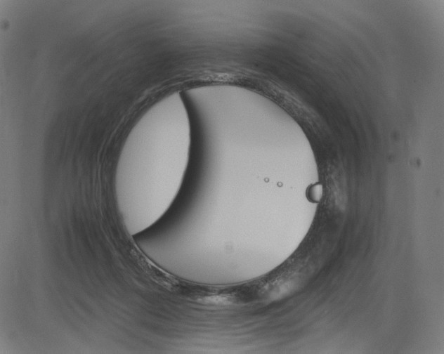 X0000085250312200703090954