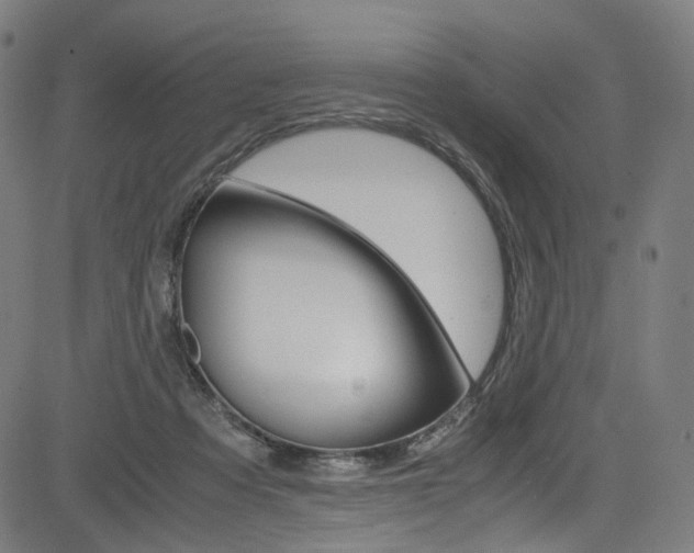 X0000085250313200703090954