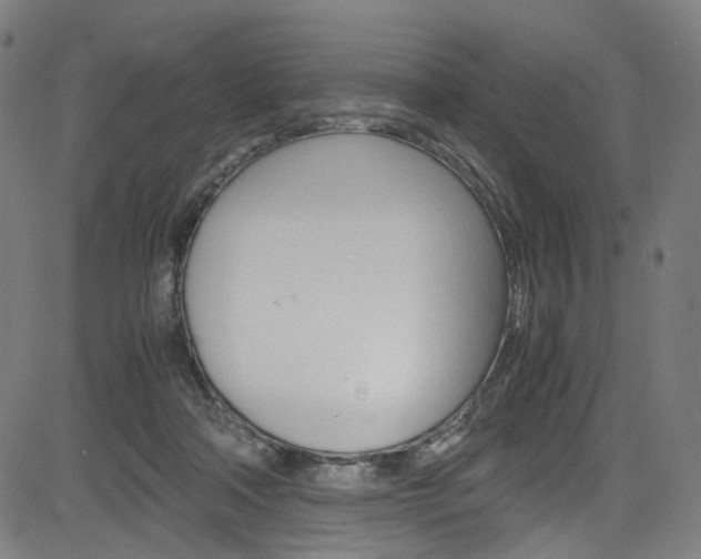 X0000085250314200703090954