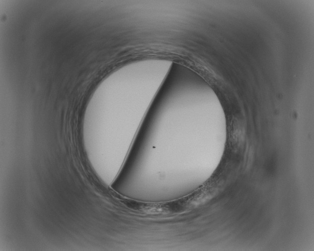 X0000085250315200703090954