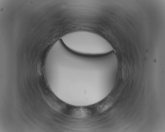 X0000085250316200703090954