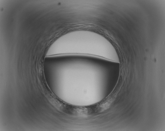 X0000085250317200703090954