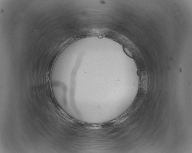 X0000085250318200703090954