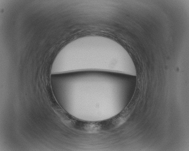 X0000085250319200703090954