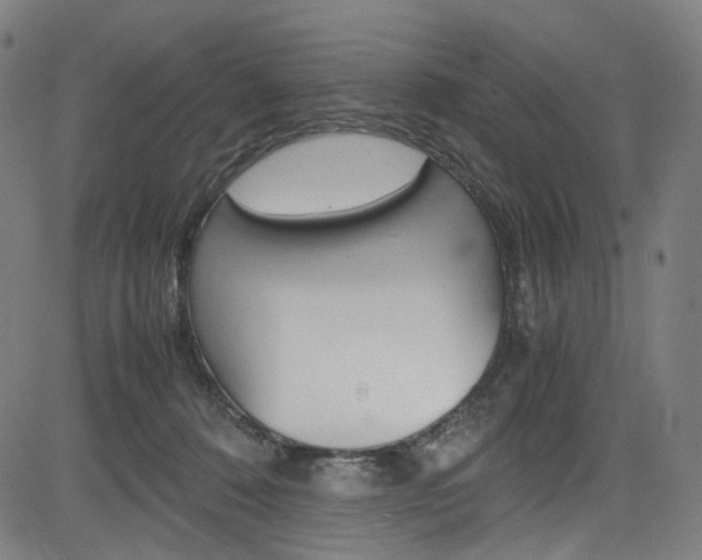 X0000085250320200703090954