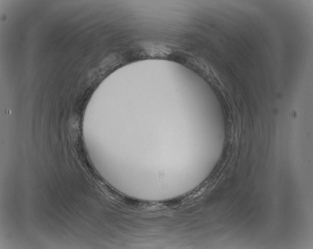 X0000085250321200703090954