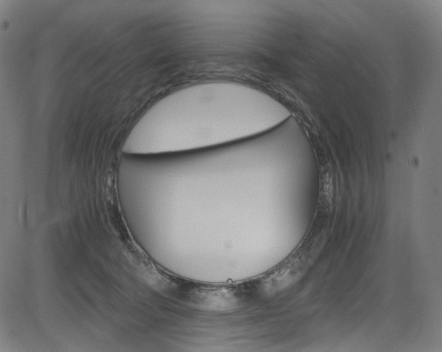 X0000085250322200703090954