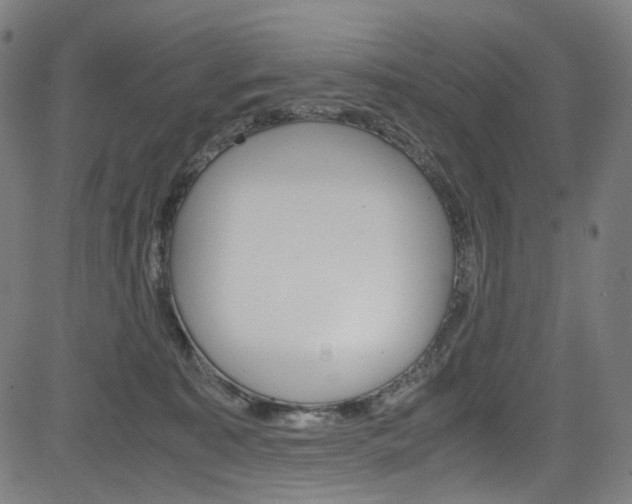 X0000085250323200703090954