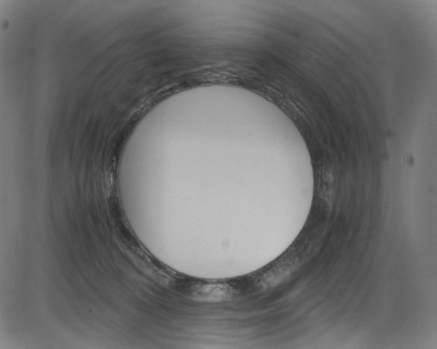 X0000085250324200703090954