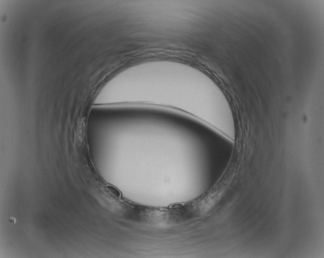 X0000085250325200703090954