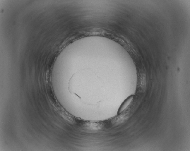 X0000085250326200703090954