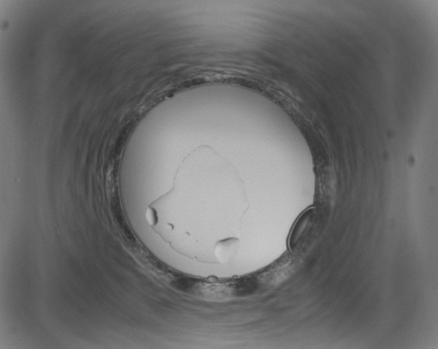 X0000085250327200703090954